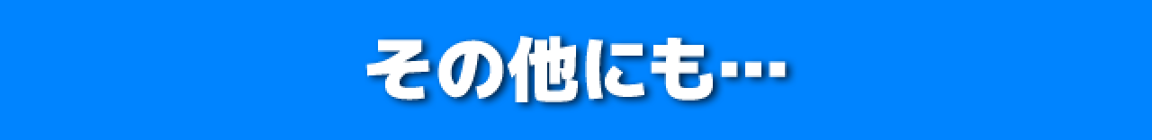 その他にも・・・